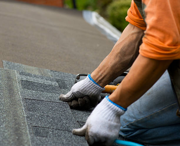Best Roof Gutter Cleaning  in Sun Valley, ID